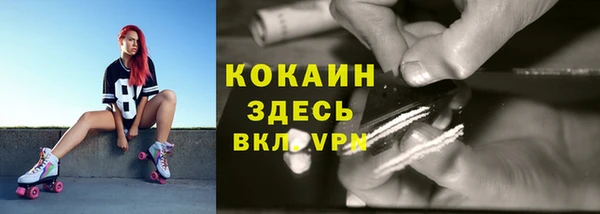 мдпв Горно-Алтайск