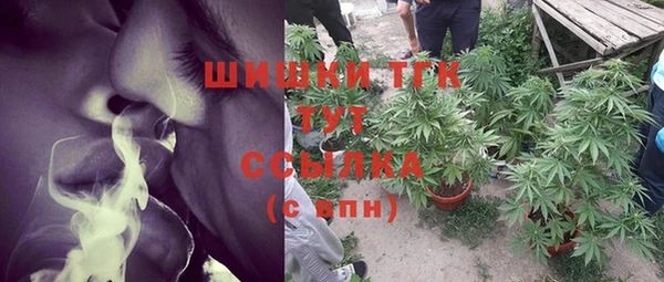 спайс Горнозаводск
