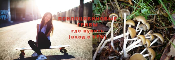 спайс Горнозаводск