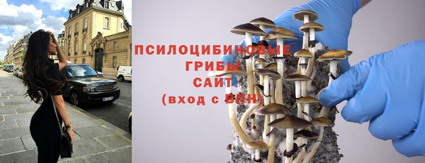 мдпв Горно-Алтайск