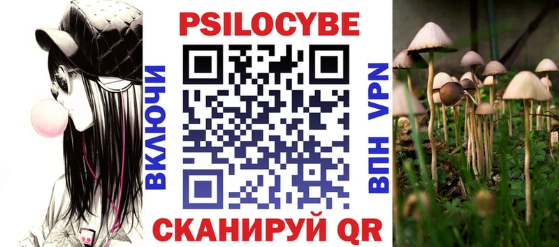 Купить закладки  Тулун  Псилоцибиновые грибы мицелий 